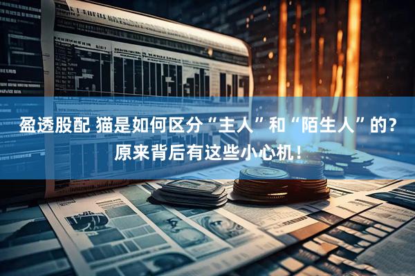 盈透股配 猫是如何区分“主人”和“陌生人”的？原来背后有这些小心机！