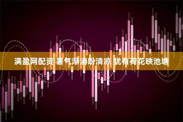 满盈网配资 暑气渐消盼清凉 犹有荷花映池塘